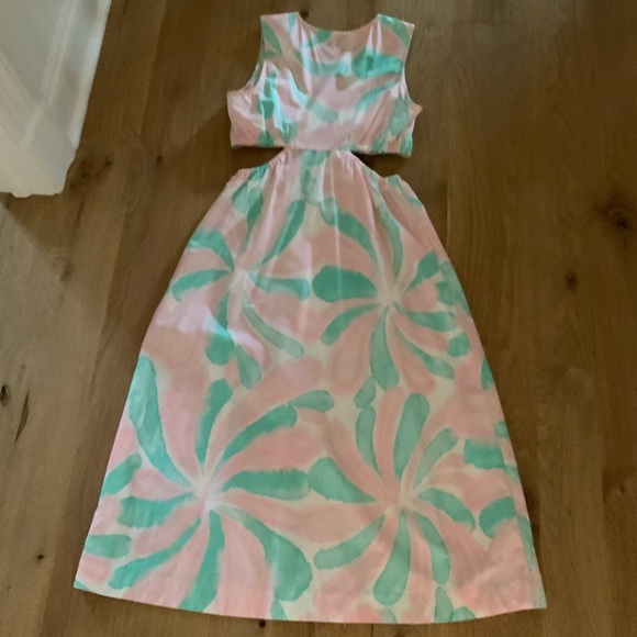 Rails Rizo Dress - Picture 7 of 8